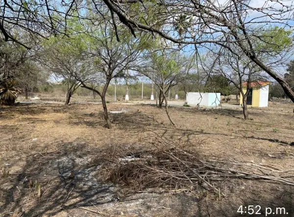 Terreno en renta en Mision Santa Cruz, Guadalupe — foto 3 de 7