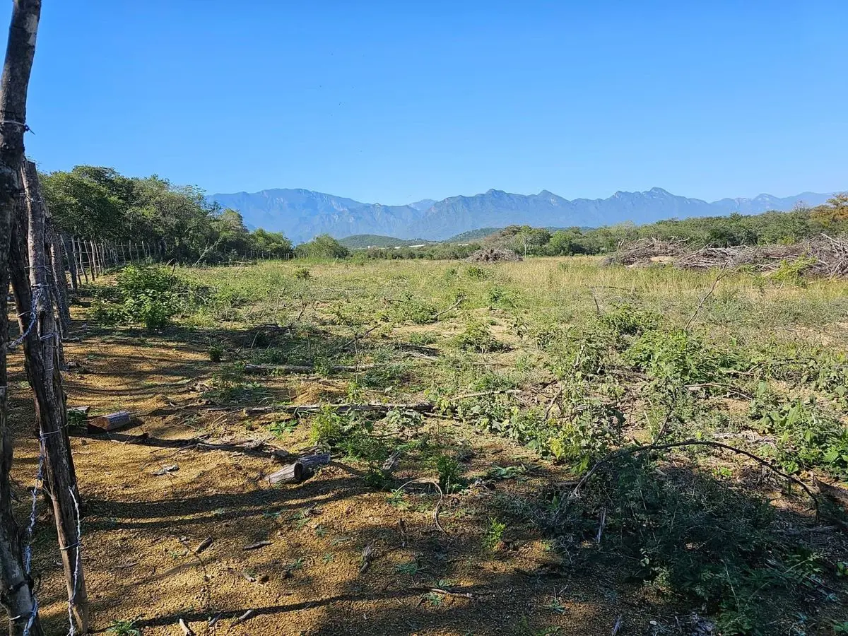Terreno en venta en Canoas, Montemorelos — foto 1 de 7