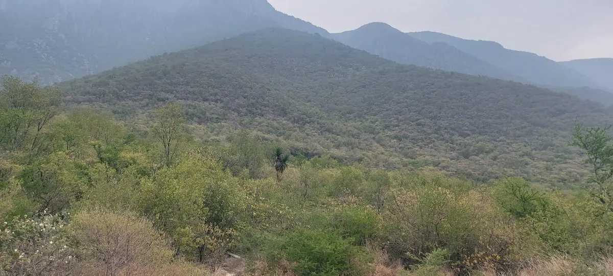 Terreno en venta en Villa las Fuentes, Monterrey — foto 1 de 3