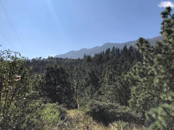 Terreno en venta en Mesa de las Tablas, Arteaga — foto 3 de 4