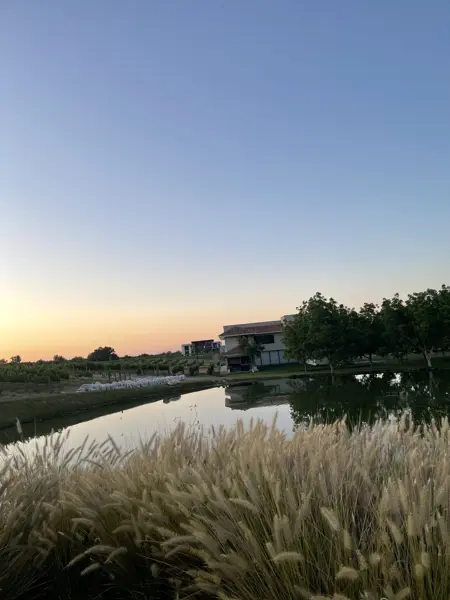 Terreno en venta en Del Marquez, Parras — foto 2 de 3