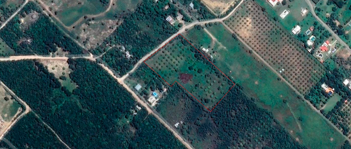 Terreno en venta en Los Sabinos, Allende — foto 1 de 11