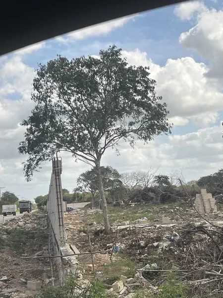 Terreno en venta en Komchen, Mérida — foto 3 de 15