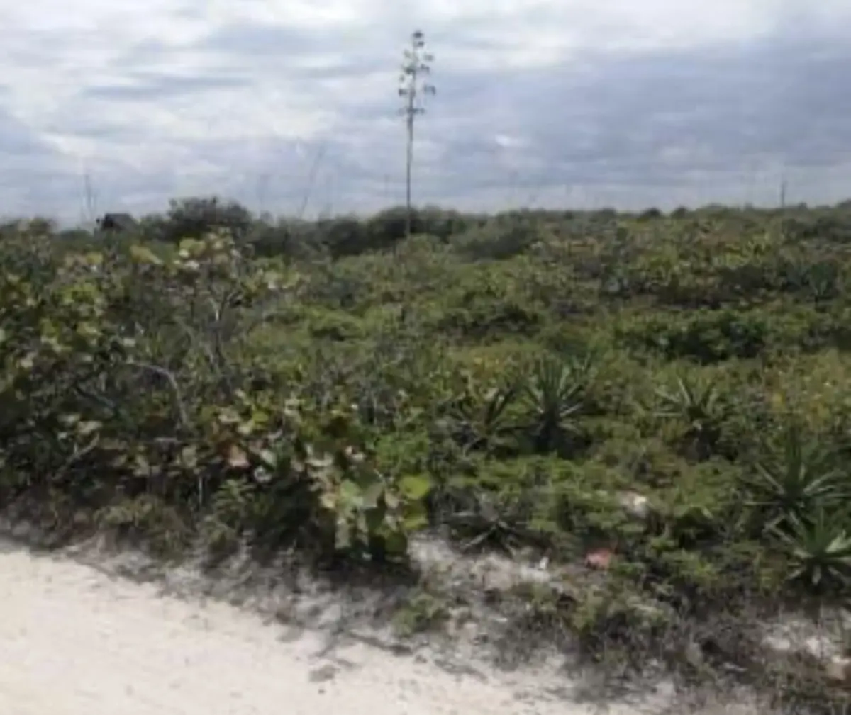 Terreno en venta en Dzemul, Dzemul — foto 1 de 15