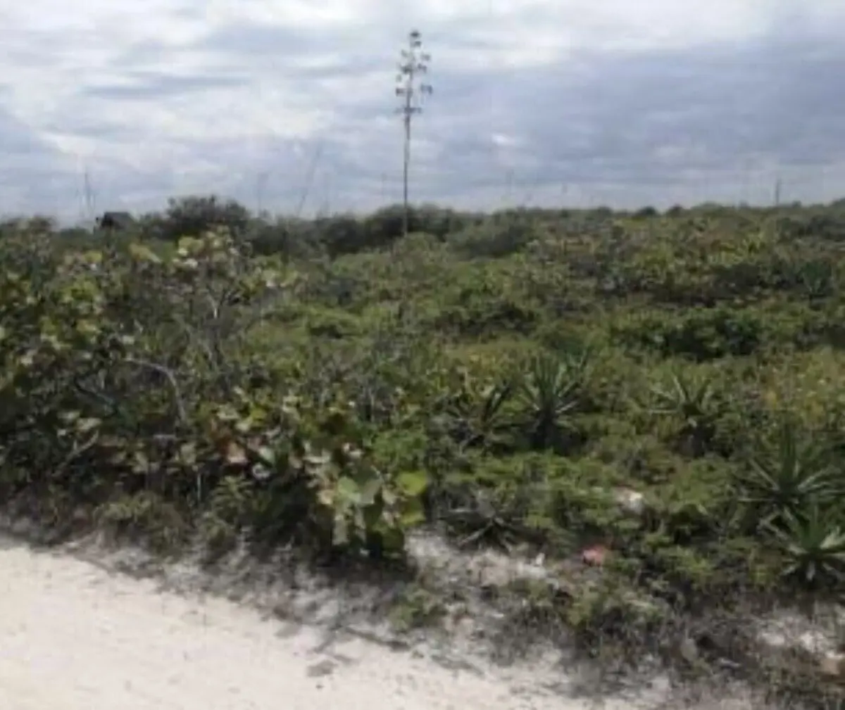 Terreno en venta en Xtampú, Dzemul — foto 1 de 14