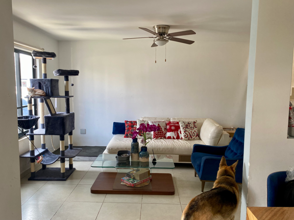 Casa en venta en Zákia, El Marqués — foto 3 de 19