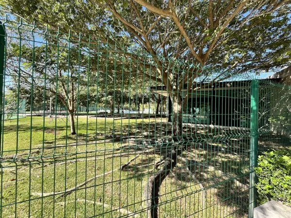 Terreno en venta en Cholul, Mérida — foto 2 de 14