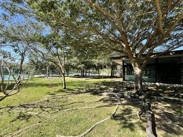 Terreno en venta en Cholul, Mérida — foto 3 de 14