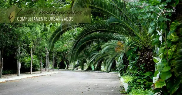 Terreno en venta en Xcanatún, Mérida — foto 2 de 12