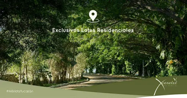 Terreno en venta en Xcanatún, Mérida — foto 3 de 12