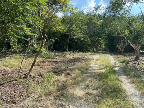 Terreno en venta en Centro Hunucmá, Hunucmá — foto 3 de 14