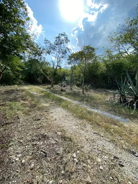 Terreno en venta en Centro Hunucmá, Hunucmá — foto 2 de 14
