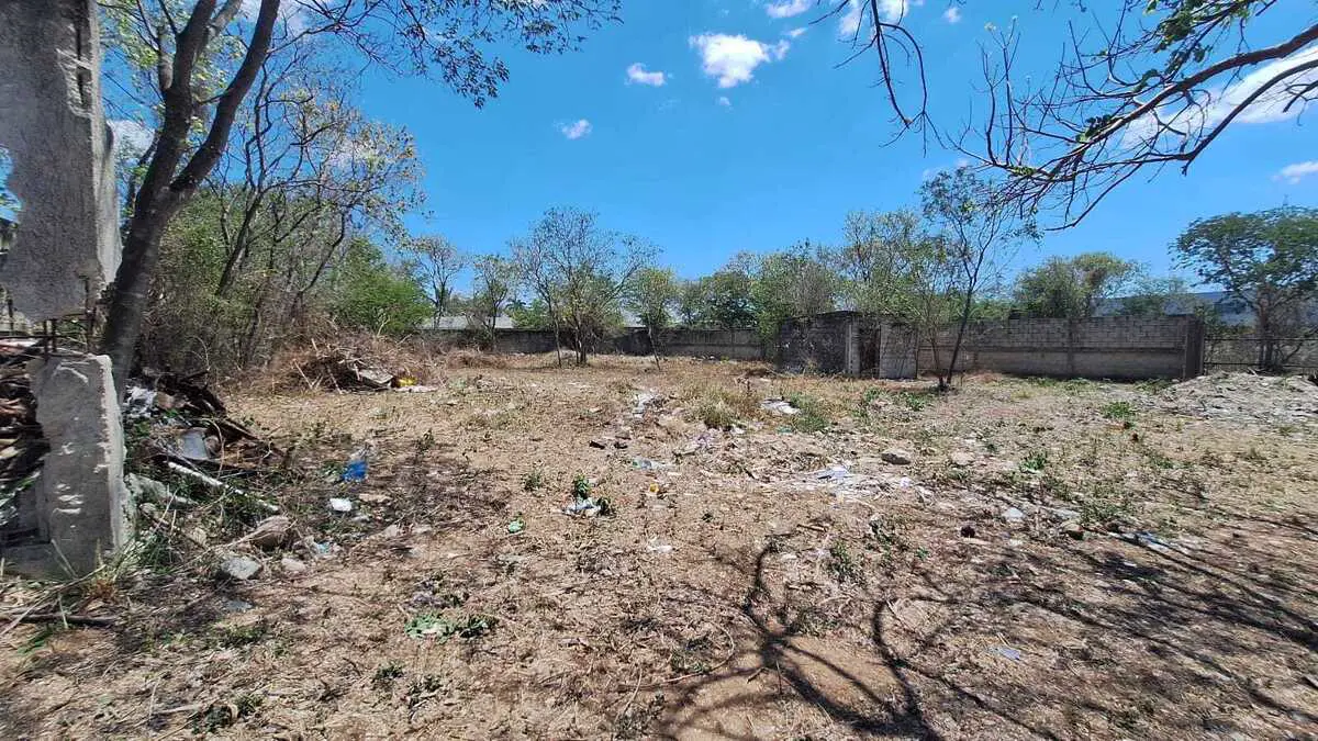 Terreno en renta en Cholul, Mérida — foto 1 de 15