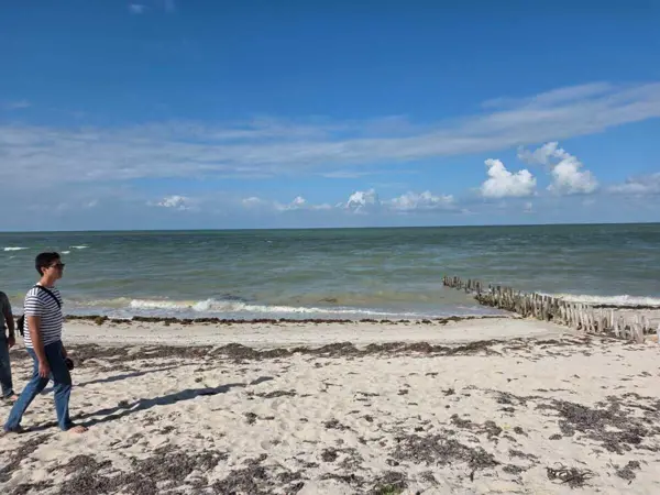 Terreno en venta en Chuburna Puerto, Progreso — foto 2 de 9
