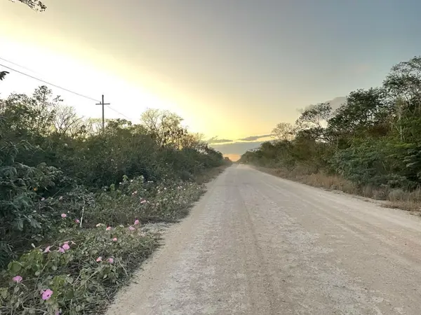 Terreno en venta en Sierra Papacal, Mérida — foto 3 de 12