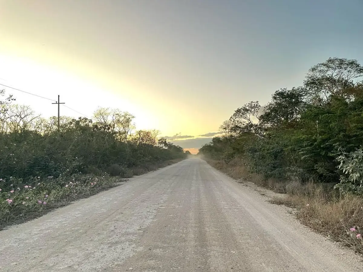 Terreno en venta en Sierra Papacal, Mérida — foto 1 de 12