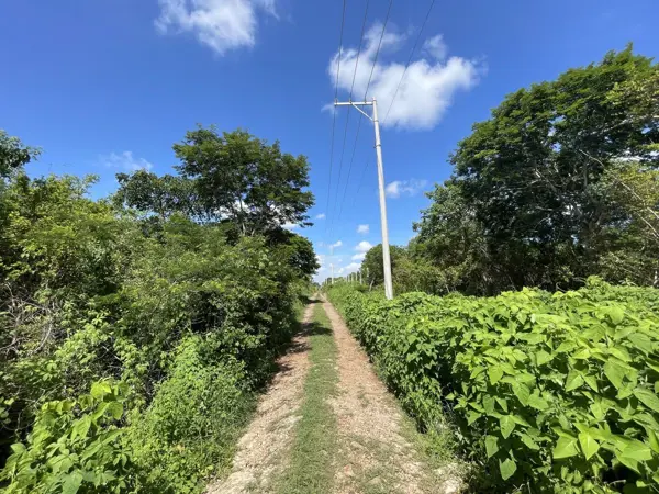 Terreno en venta en Chichi Suarez, Mérida — foto 3 de 13