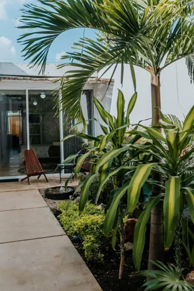 Casa en renta en Merida Centro, Mérida — foto 2 de 26