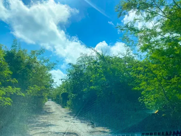 Terreno en venta en Misnébalam, Mérida — foto 3 de 14