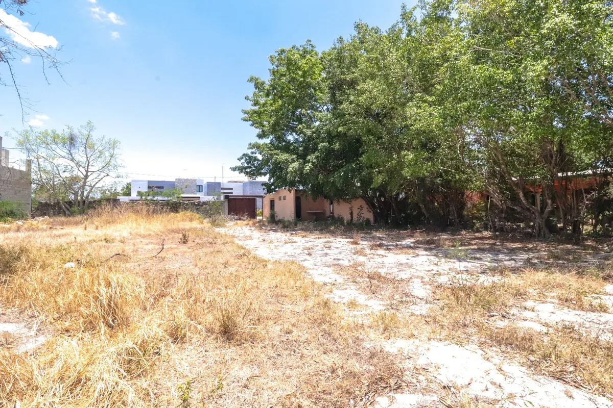 Terreno en venta en Dzitya, Mérida — foto 1 de 10