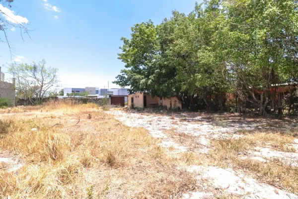 TERRENO EN VENTA EN DZITYA, MERIDA, YUCATAN TERRENO EN VENTA EN DZITYA, MERIDA, YUCATAN