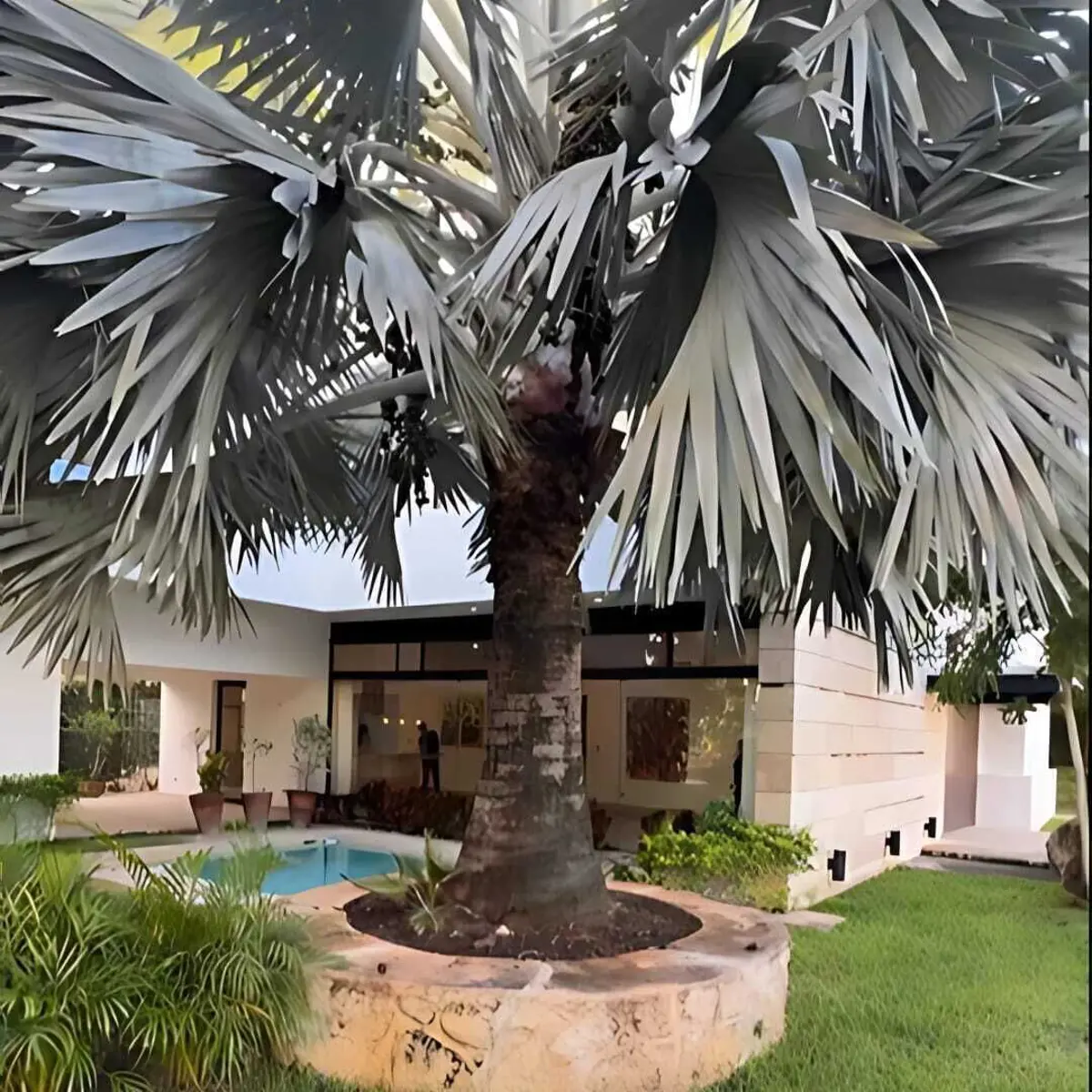 Casa en venta en Yucatán Country Club, Mérida — foto 1 de 12
