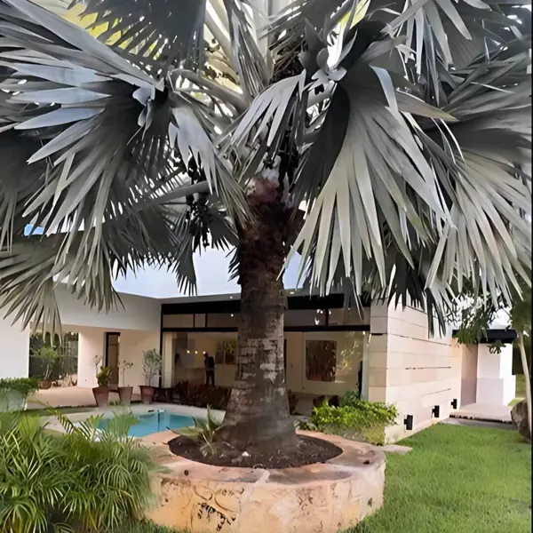 Preciosa Casa en Venta, Country Club, Yucatan