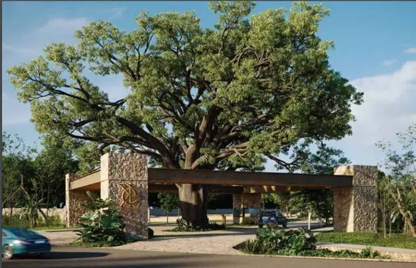 Terreno en venta en San Ignacio, Progreso — foto 2 de 18