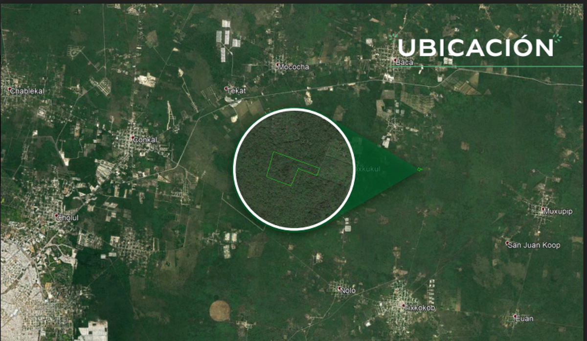 Terreno en venta en Yaxkukul, Yaxkukul — foto 1 de 10