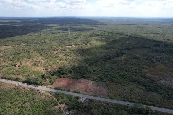 Finca-Rancho en venta en Chapab, Chapab — foto 3 de 10
