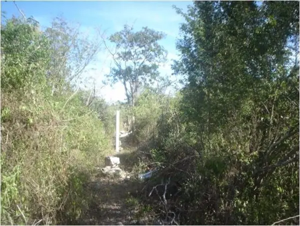 Terreno en venta en Xcunya, Mérida — foto 2 de 18