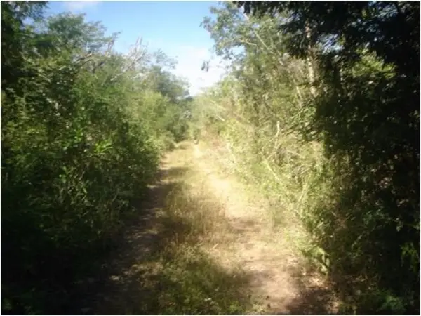 Terreno en venta en Xcunya, Mérida — foto 3 de 18