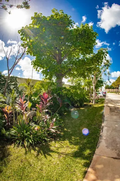 Terreno en venta en Cholul, Mérida — foto 2 de 19