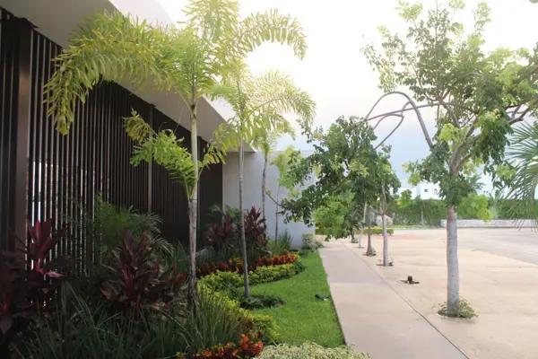 Terreno en venta en Cholul, Mérida — foto 2 de 11
