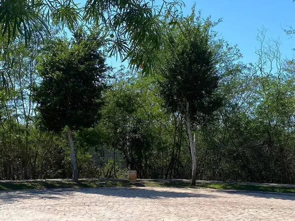 Terreno en Venta, en el Country Club, Merida