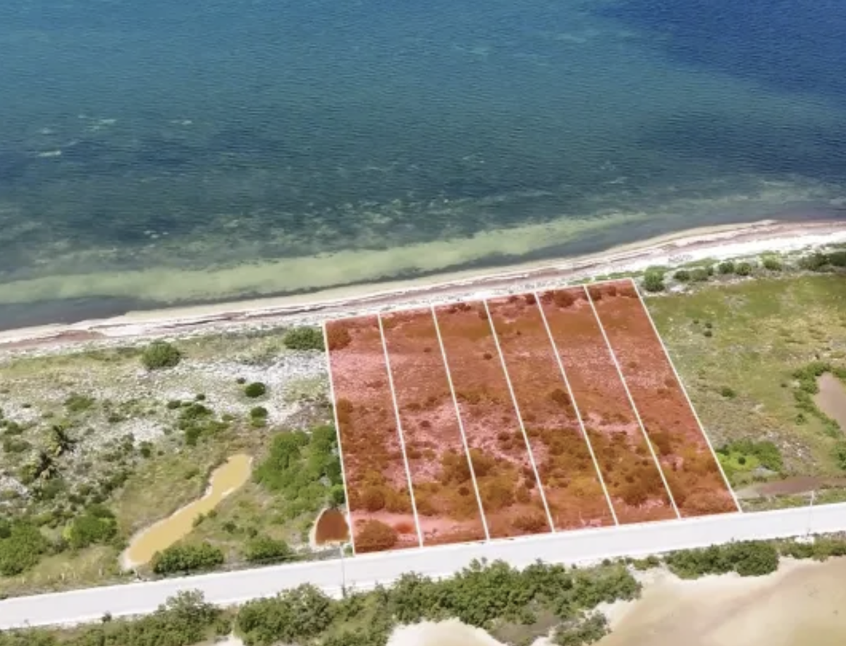 Terreno en venta en Santa Clara, Dzidzantún — foto 1 de 10