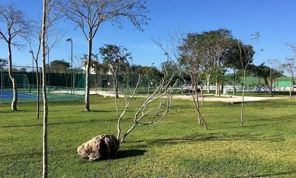 Terreno en venta en Cholul, Mérida — foto 3 de 20
