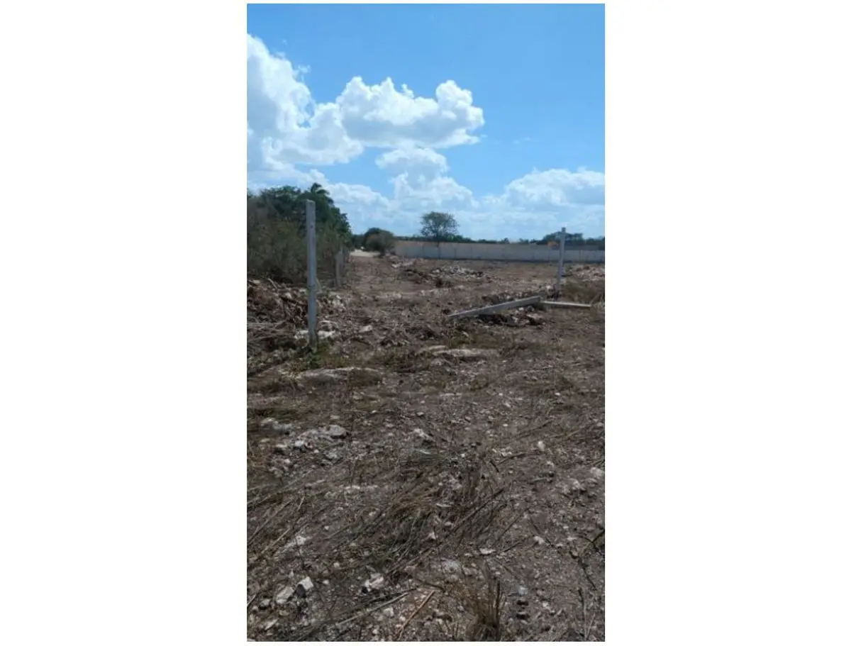 Terreno en venta en Dzitya, Mérida — foto 1 de 13