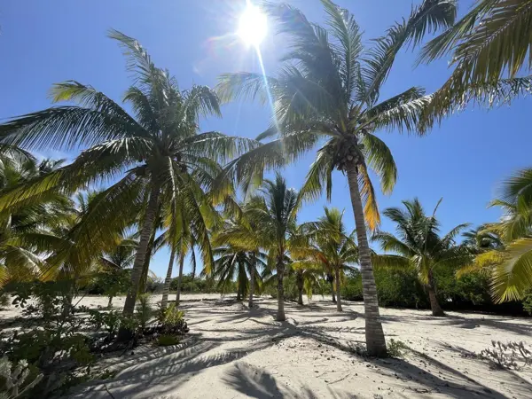 TERRENO EN VENTA EN LA PLAYA EN SAN BENITO EN MÉRIDA YUCATÁN