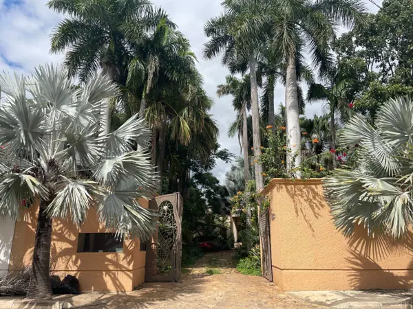Casa en venta en Benito Juárez Nte, Mérida — foto 2 de 50