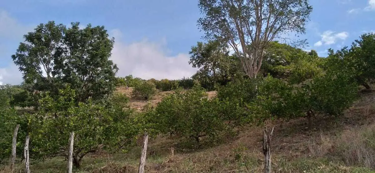 Terreno en venta en Dzitnup, Hecelchakán — foto 1 de 17