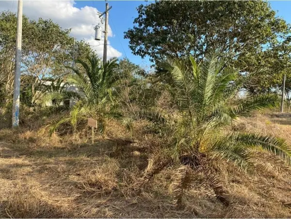 Terreno en venta en Cholul, Mérida — foto 2 de 10
