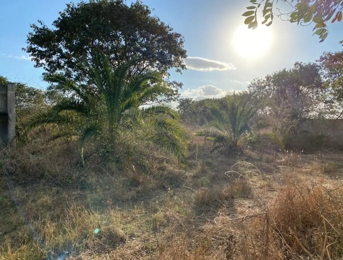 Terreno en venta en Cholul, Mérida — foto 1 de 10