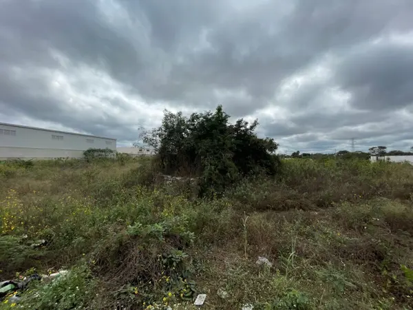 Terreno en venta en Santa Cruz Palomeque, Mérida — foto 2 de 12