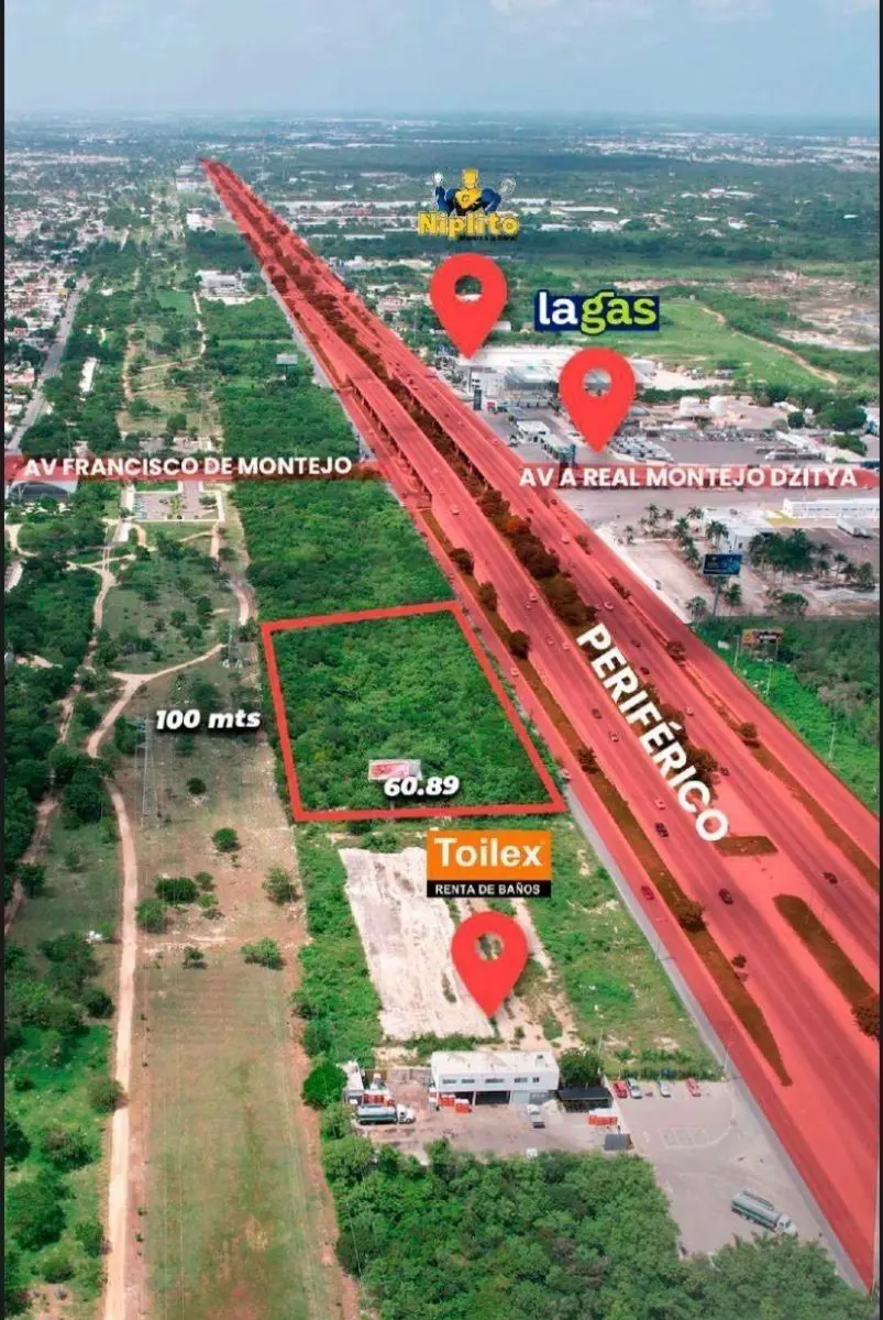 Terreno en renta en Francisco de Montejo, Mérida — foto 1 de 10