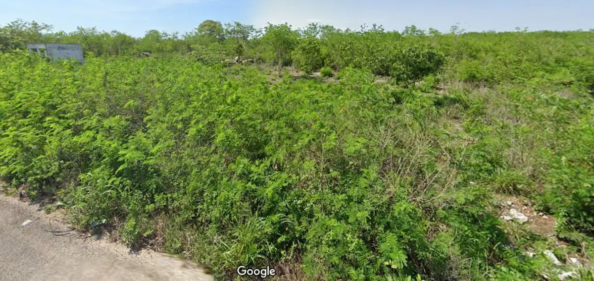 Terreno en venta en Yaxkukul, Yaxkukul — foto 1 de 10