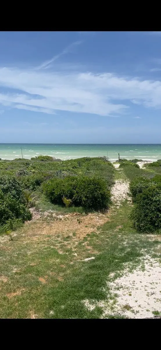 Terreno en venta en Sisal, Hunucmá — foto 1 de 13