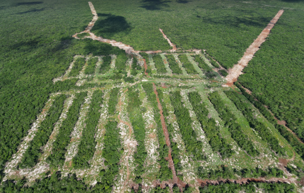 Venta de Terreno Primera Etapa, Santa Maria Chi, Merida, Yucata