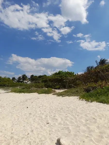 Terreno en venta en Chelem, Progreso — foto 3 de 13