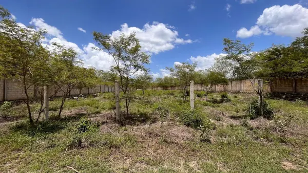 Terreno en venta en X-Cuyum, Conkal — foto 2 de 13